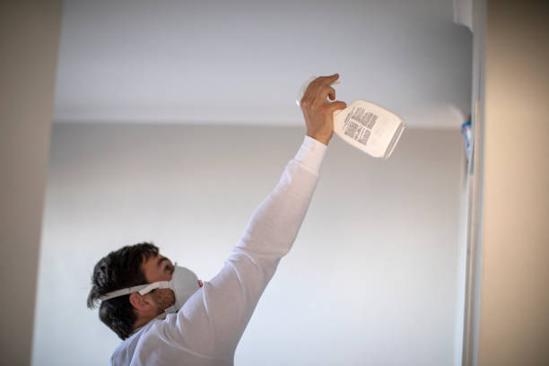 Best Mold Testing  in Kingston, IL