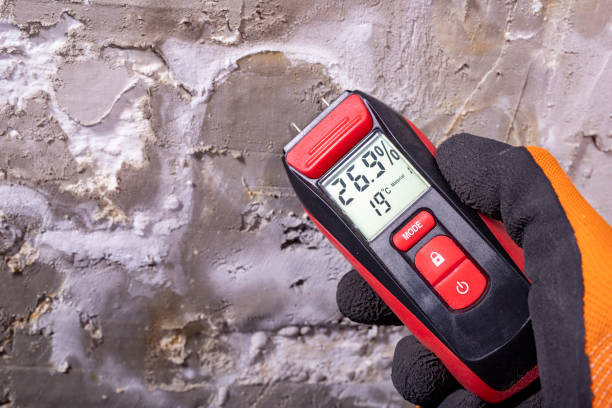 Best Toxic Mold Removal  in Kingston, IL